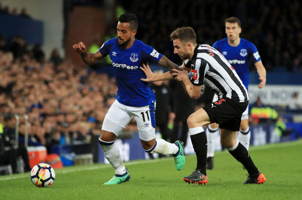 不僅展示了 不僅展示了